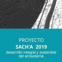 sach'a desarrollo integral y sostenible del ecosistema