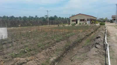 inauguración del  Proyecto éburnée 1 Iniciativa Agro - Deporte Sostenible Costa de Marfil 2008 – 2013,  martes 28 de Julio